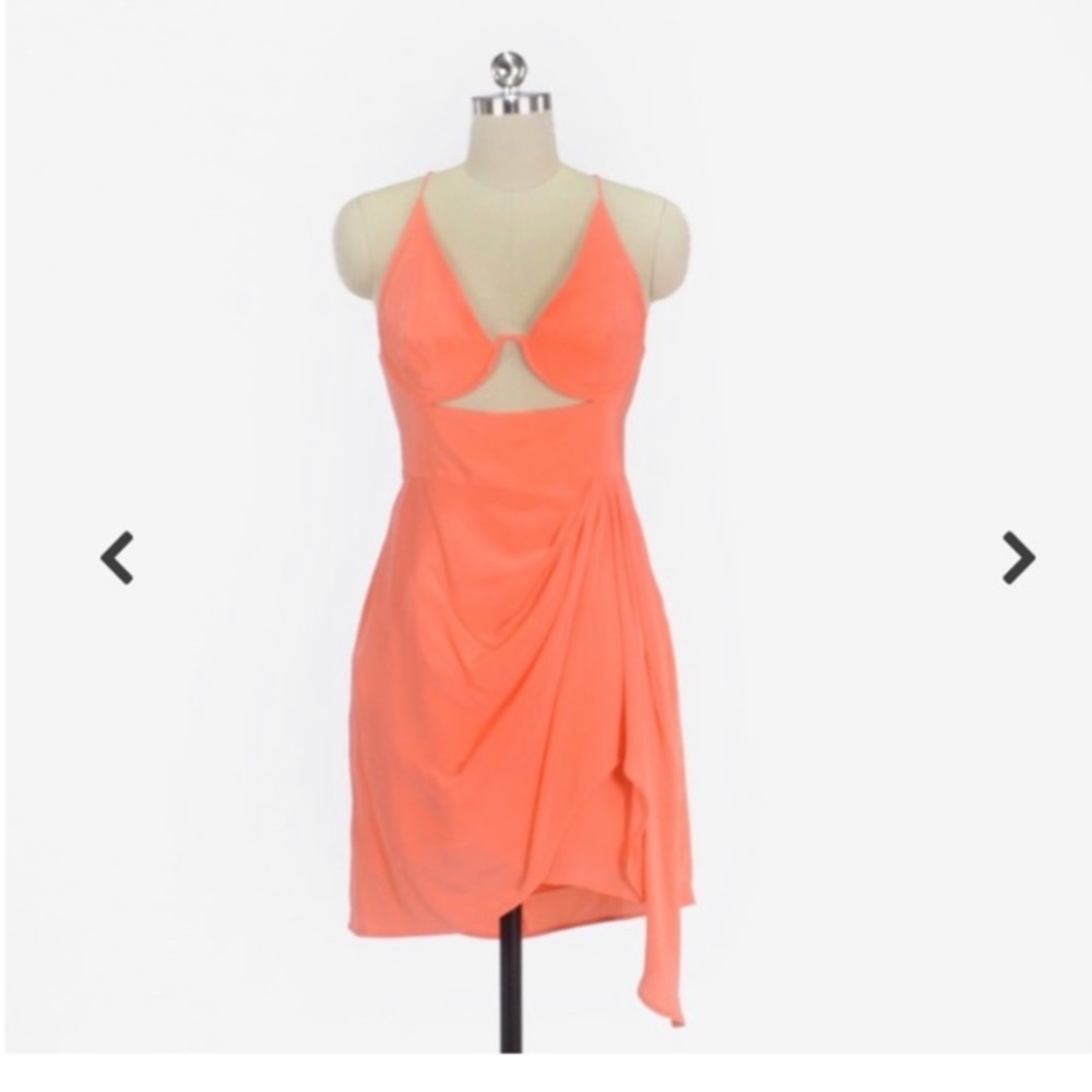 Zimmerman Coral Underwire Dress